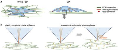 Putting Cells into Context